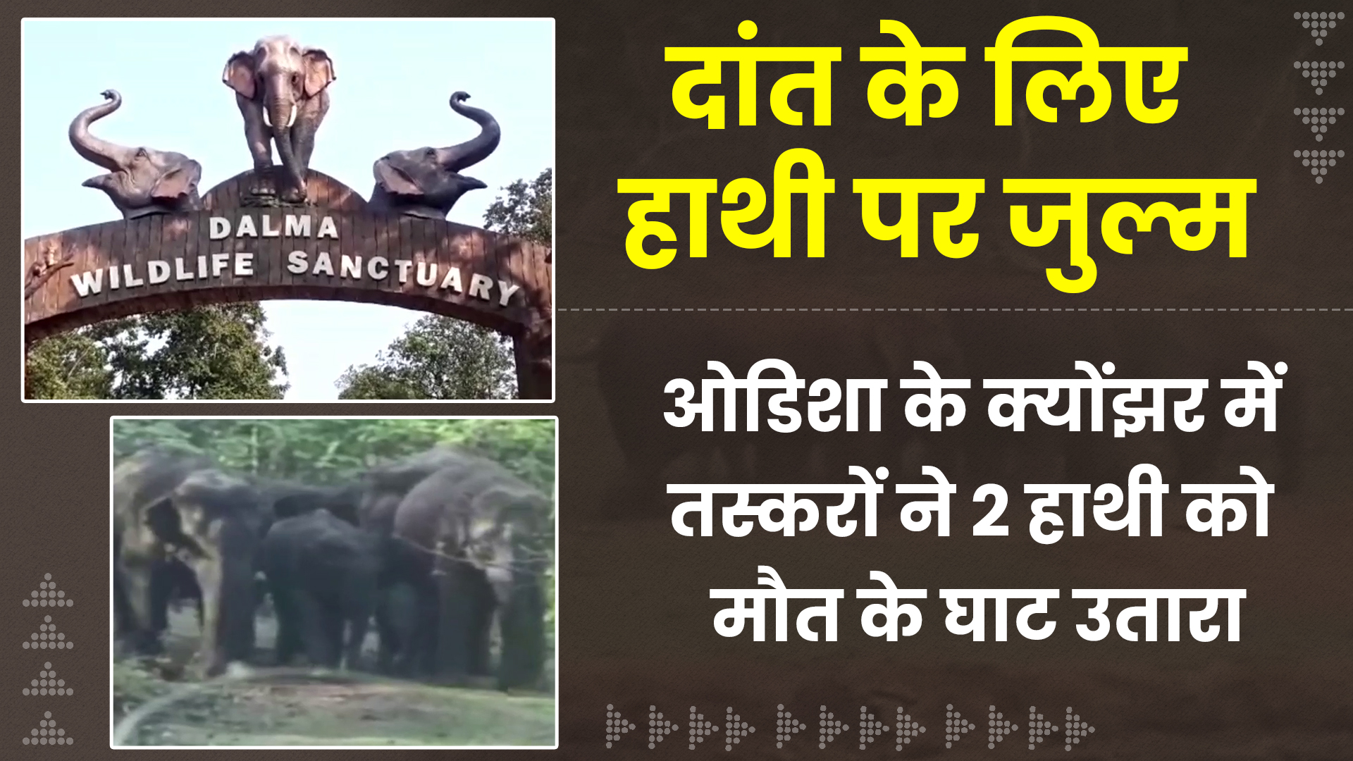 elephants-are-not-safe-in-jamshedpur-forest-division