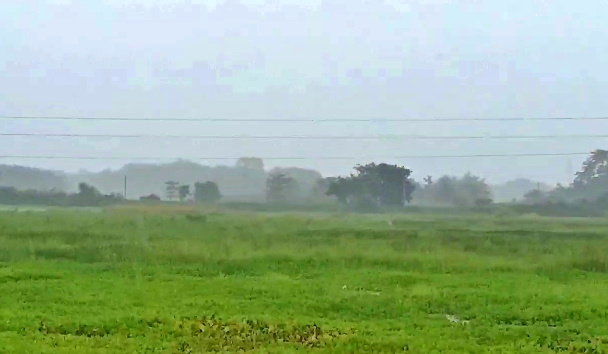 Rainfall down in Morigaon