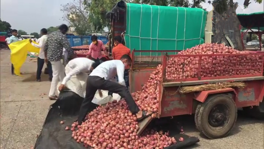 onions at Maharastra