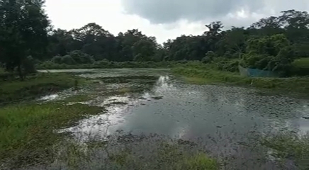 An ideal fish farmer of Moran