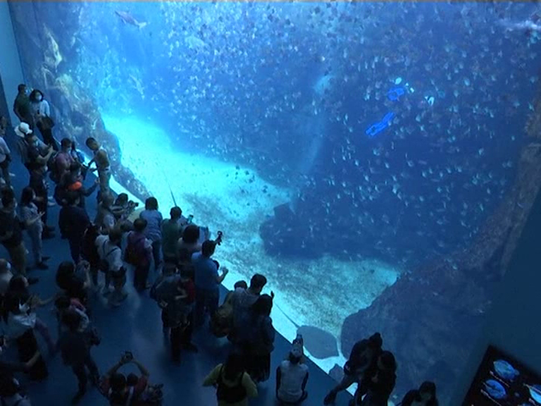 A hotel and an aquarium have joined forces to give guests an unusual sealife experience.