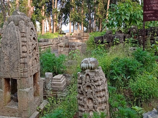 ancient heritage of saamat sarna getting damaged