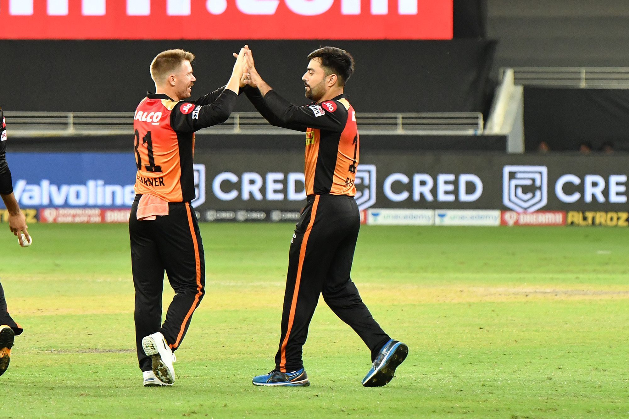 David Warner and Rashid Khan