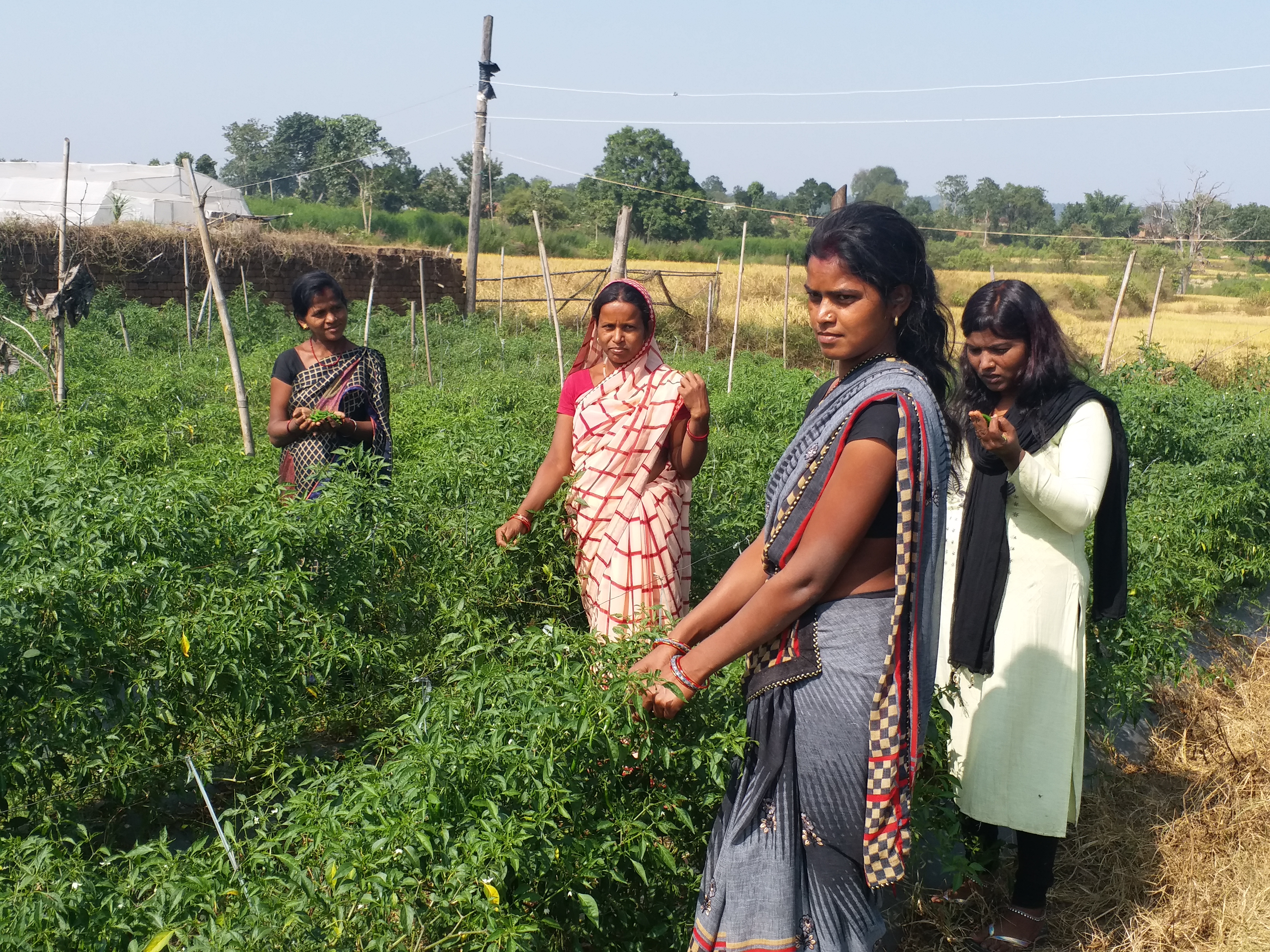 women farmers