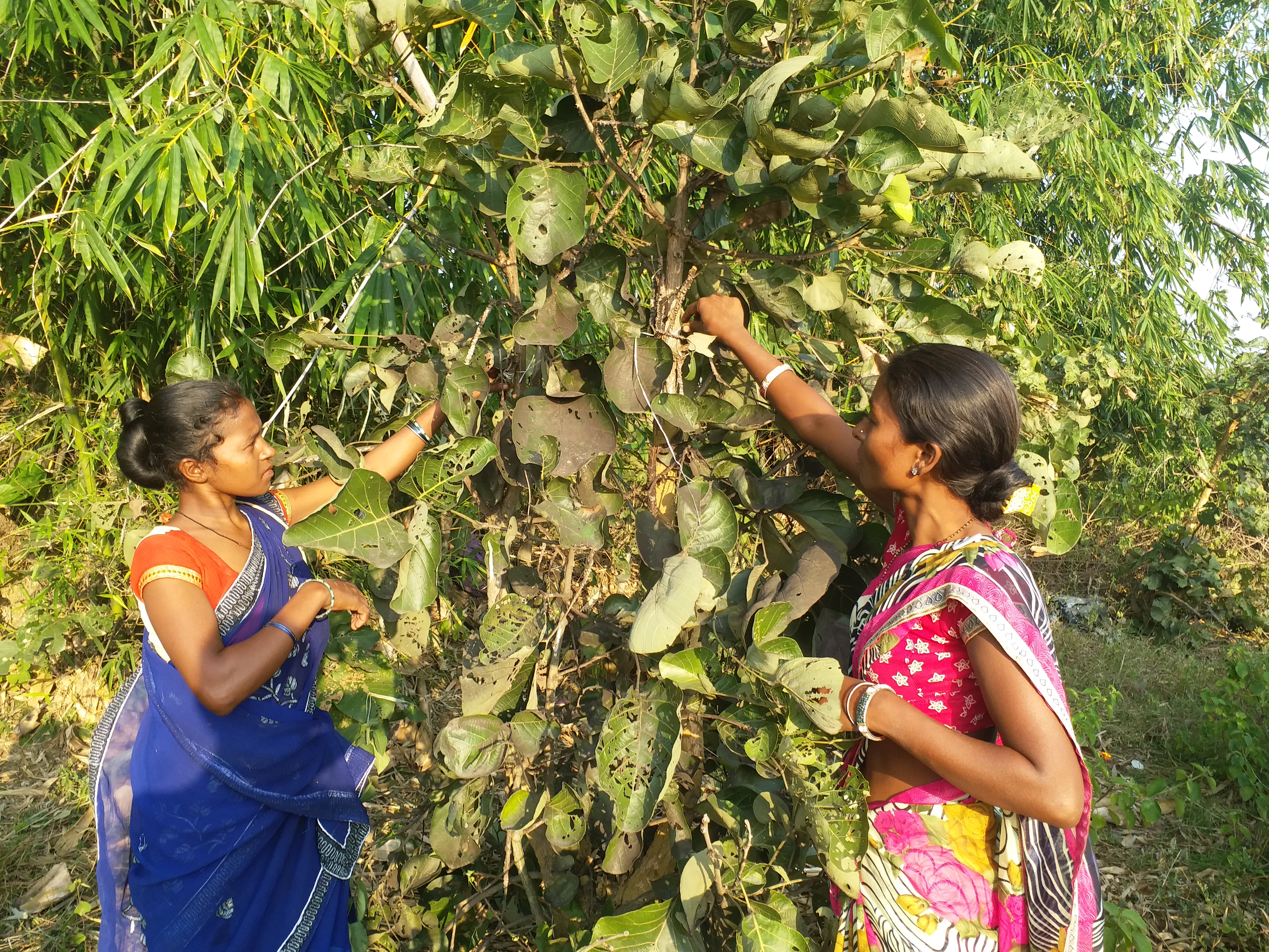 women farmers