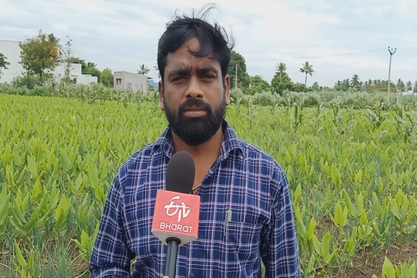 kallakurichi onion farming