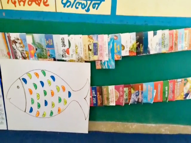 Government Primary School Bhilavata,  Teacher couple innovation in Dungarpur