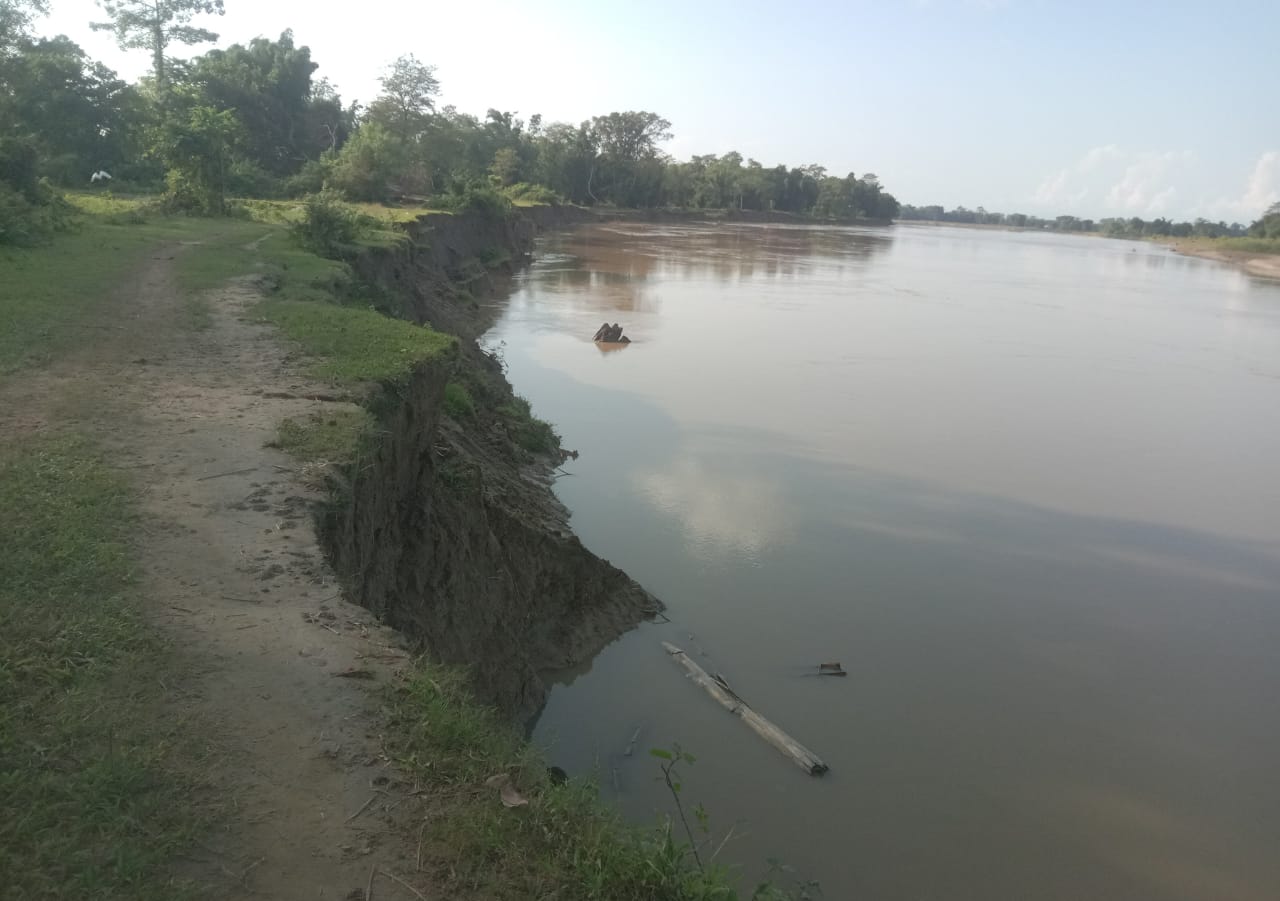 Erosion of Burhidihing river in Moran dibrugarh assam etv bharat news