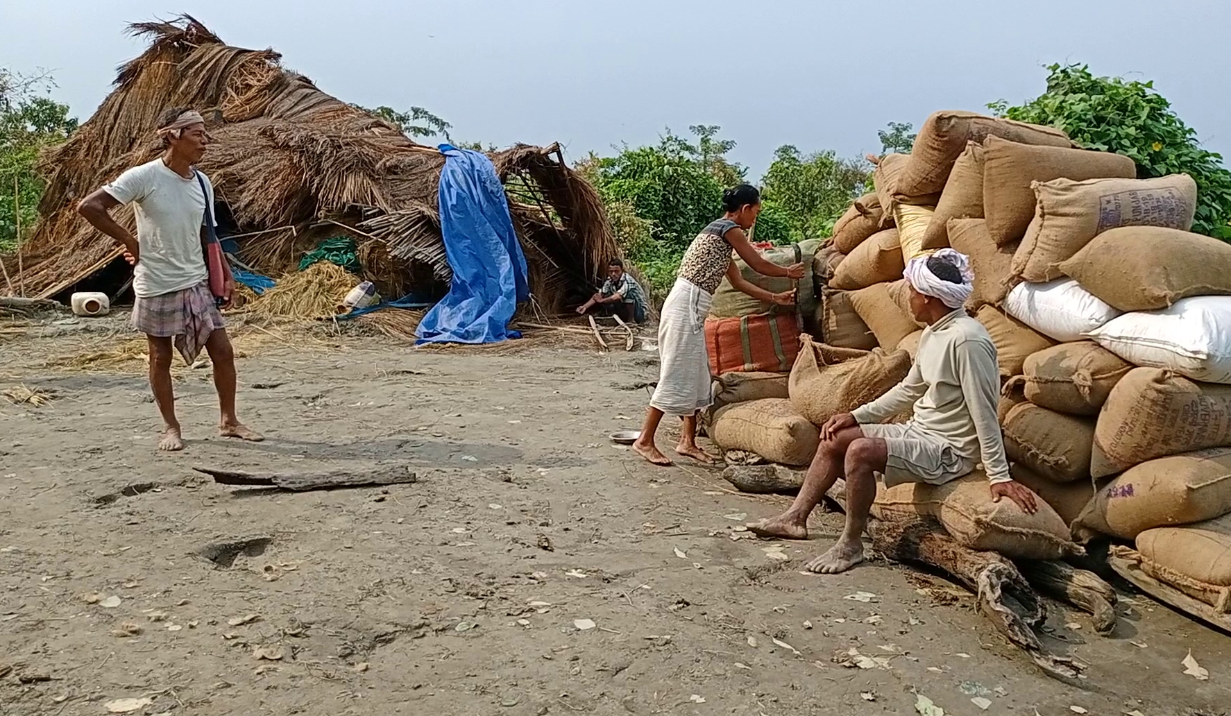 Wild elephant killed a woman in Sadiya