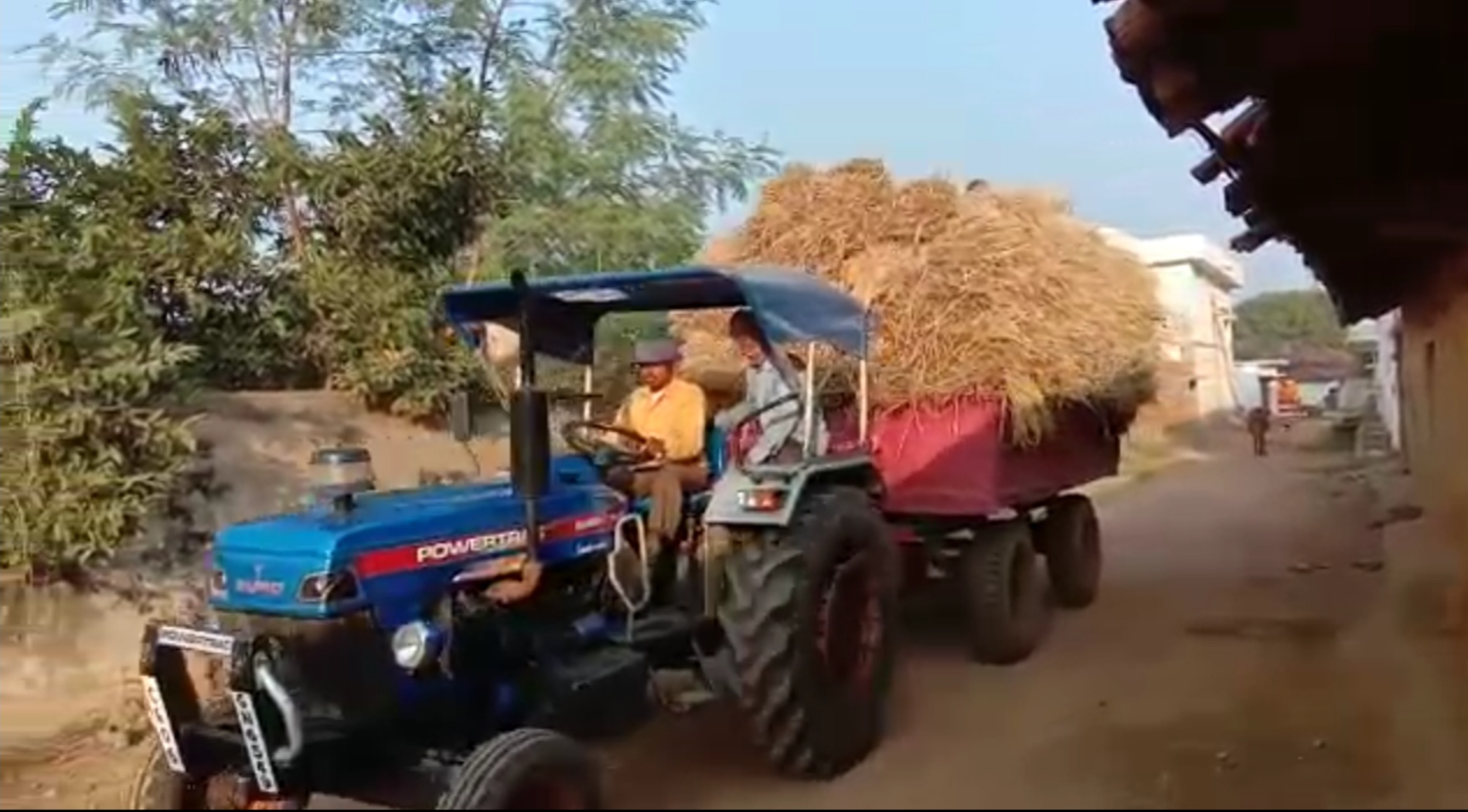 farmers-worried-over-decision-to-purchase-paddy-in-chhattisgarh-from-december-1