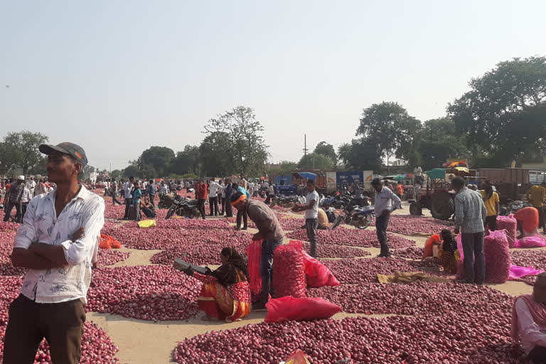 Government strict on onion