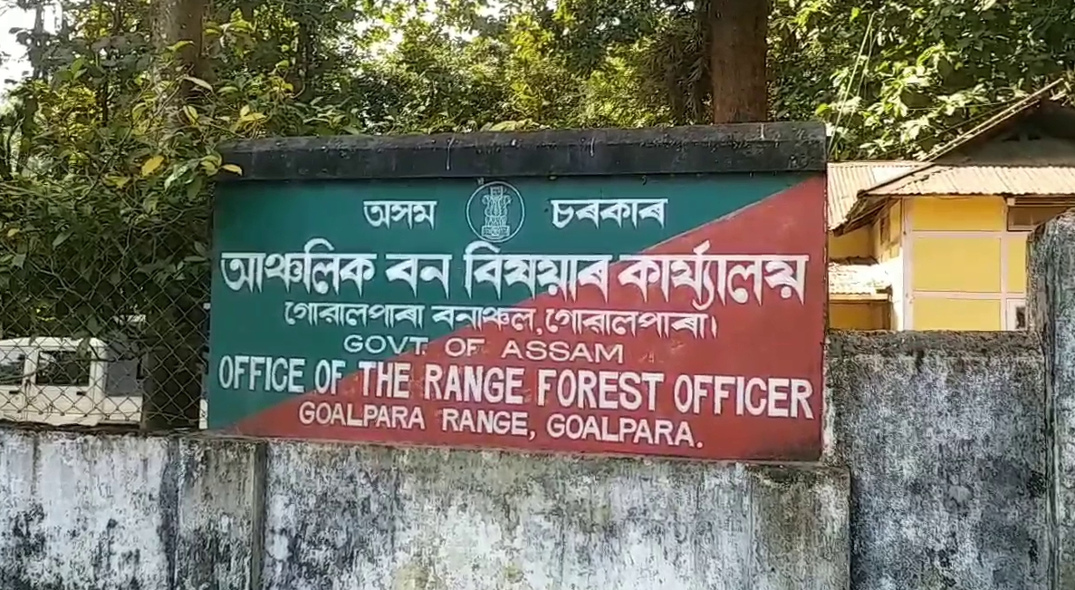 more-than-rs-2-lakh-worth-of-timber-seized-in-goalpara-during-the-forest-department-operation