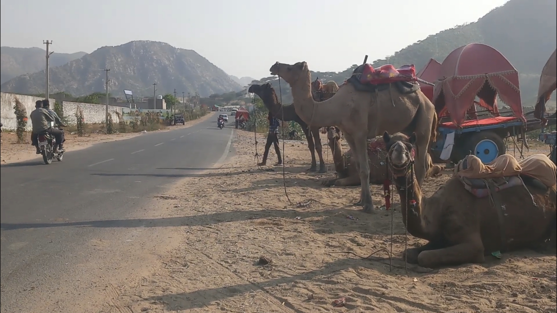 pushkar mela 2020,  pushkar fair