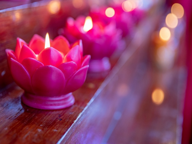 Diwali candles, Special candles for Diwali, Diwali, Flower candles