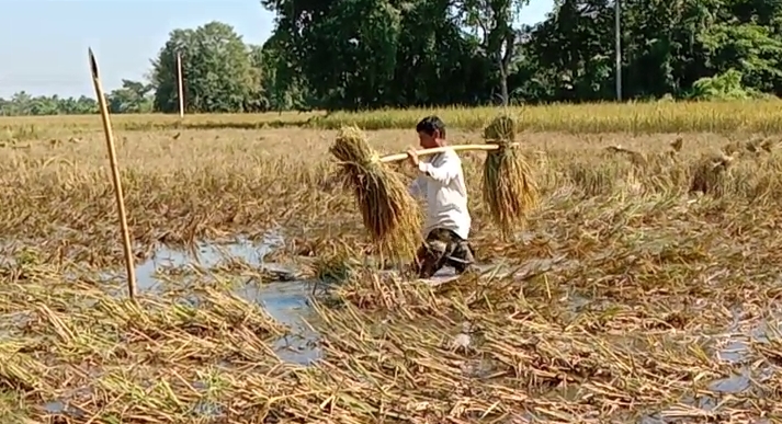 farmers