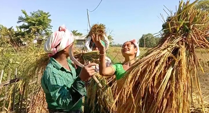 farmers