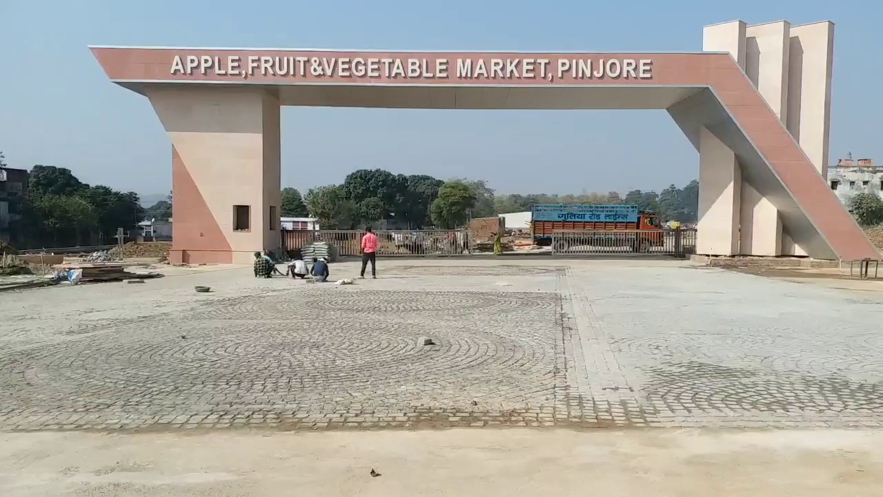 Asia largest apple market pinjore Panchkula