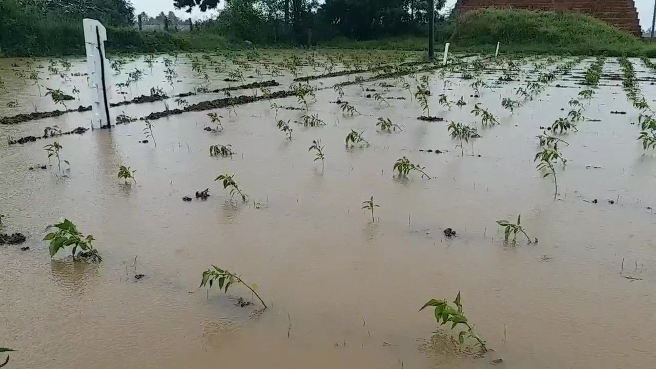 heavy-rain-in-nellore