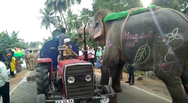 कर्नाटक हत्ती व्हायरल व्हिडिओ न्यूज