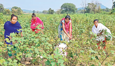 rural-students