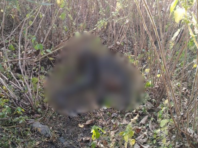 Male skeleton found in Kota