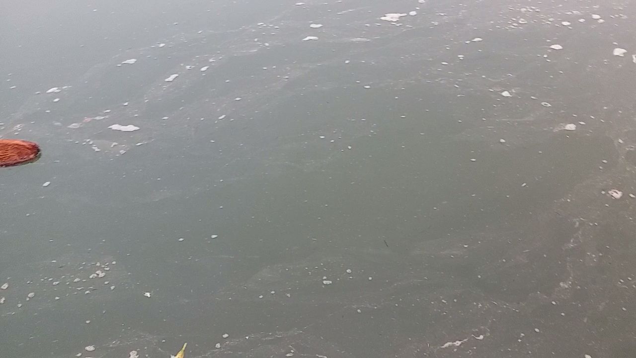 narmada river polluted