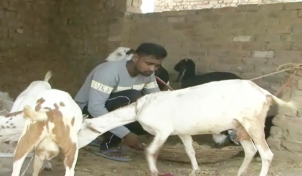 श्रीगंगानगर के जूडो खिलाड़ी, Judo players from Sriganganagar