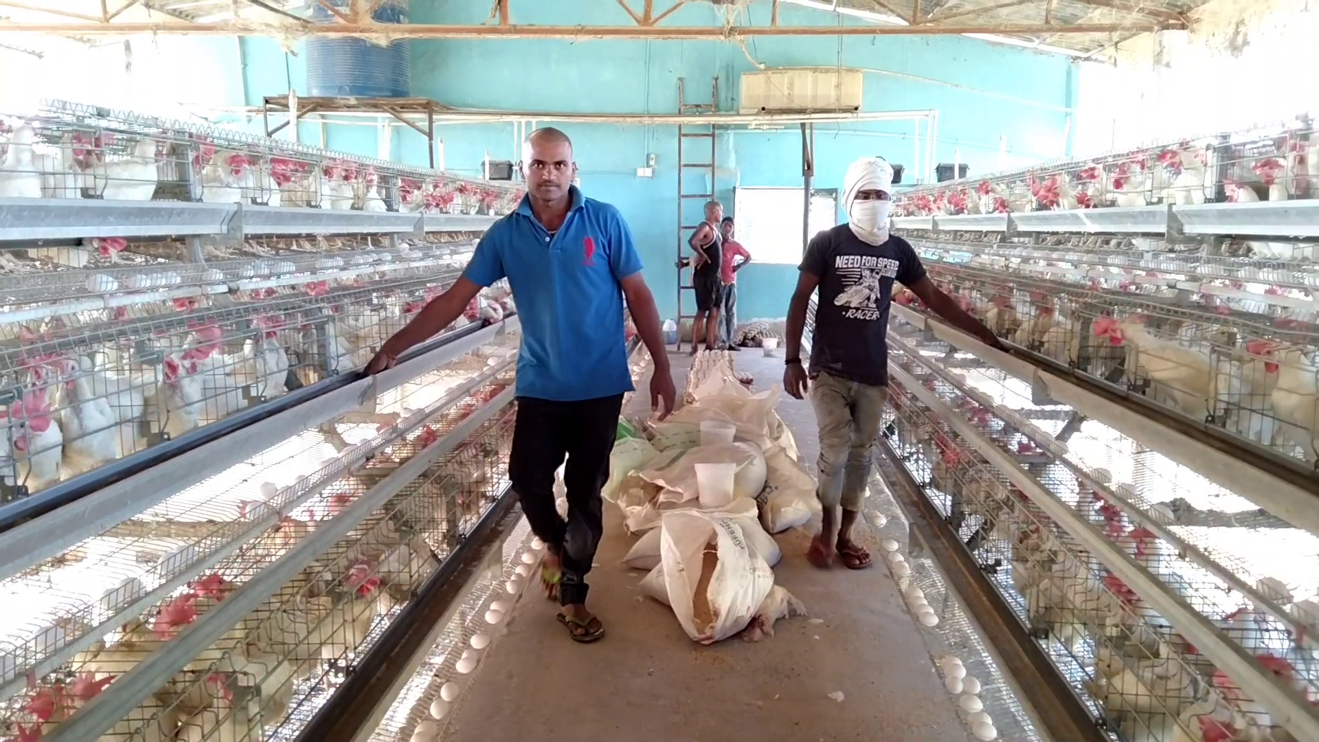 employment by Poultry farming in Chatra