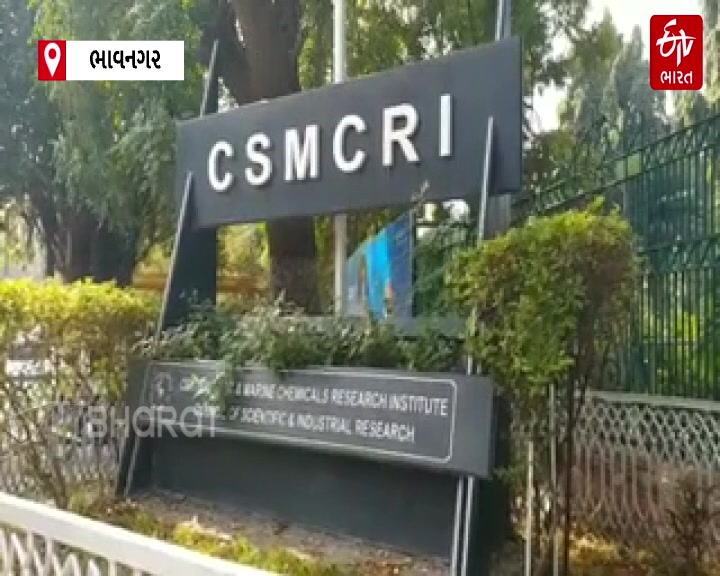 CSMCRIના વૈજ્ઞાનિકે ગાયોમાં મિથેન ગેસ ઓછું કરતા ખાદ્યની શોધ કરી