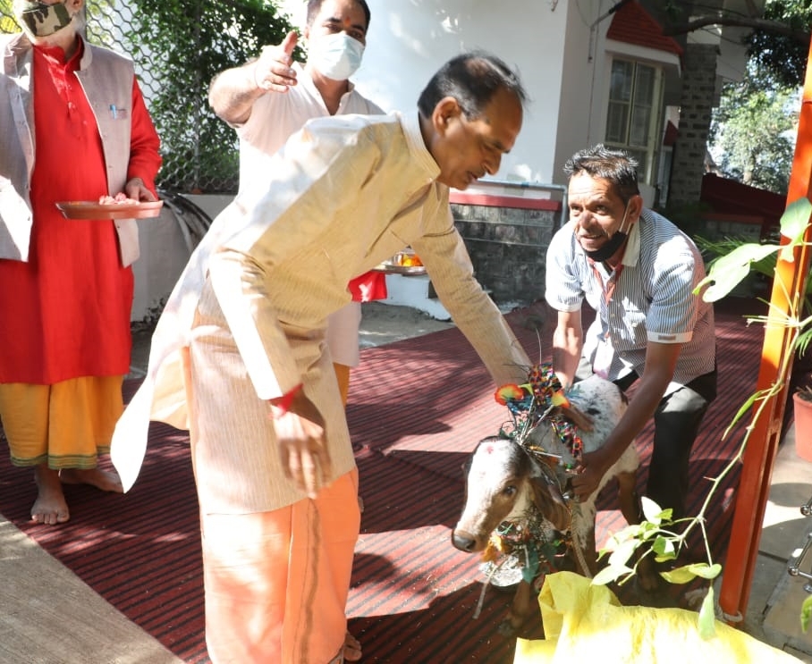 Madhya Pradesh CM Shivraj Singh Chouhan holds the first meeting of 'Cow Cabinet' in Bhopal