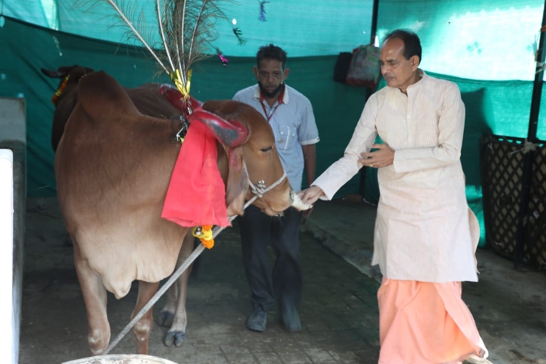 Madhya Pradesh CM Shivraj Singh Chouhan holds the first meeting of 'Cow Cabinet' in Bhopal