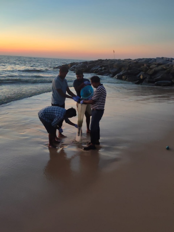 Collection of water and plankton samples at Padukere beach, Malpe