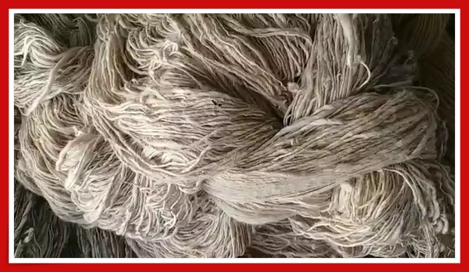 Bikaner Wool industry, Bikaner news