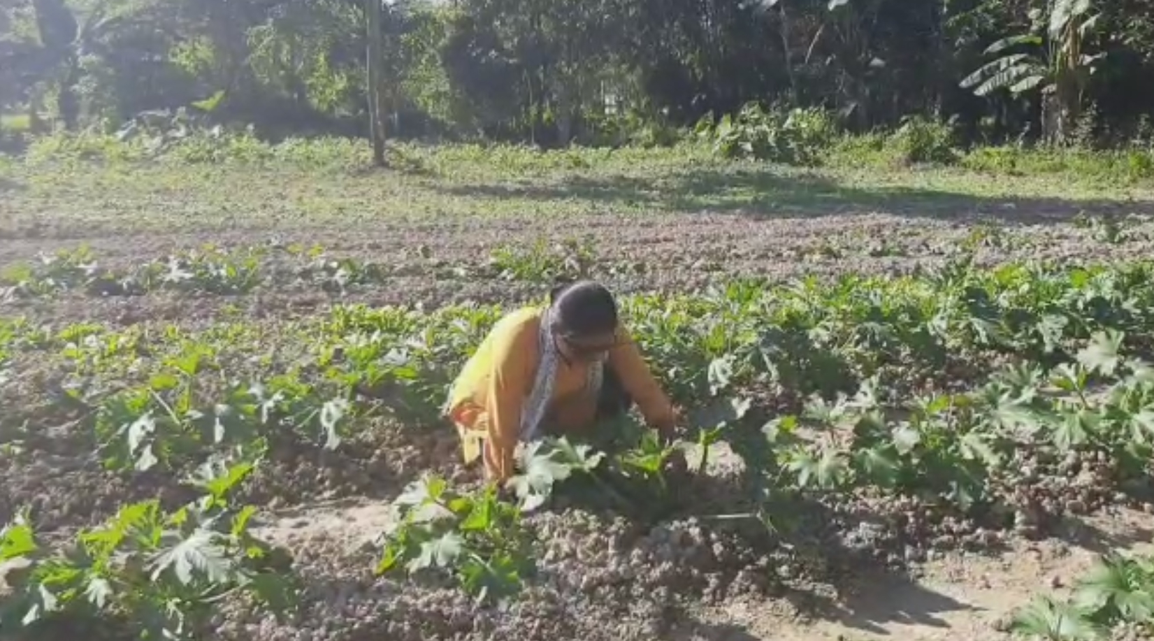 after lockdown an actress busy in farming