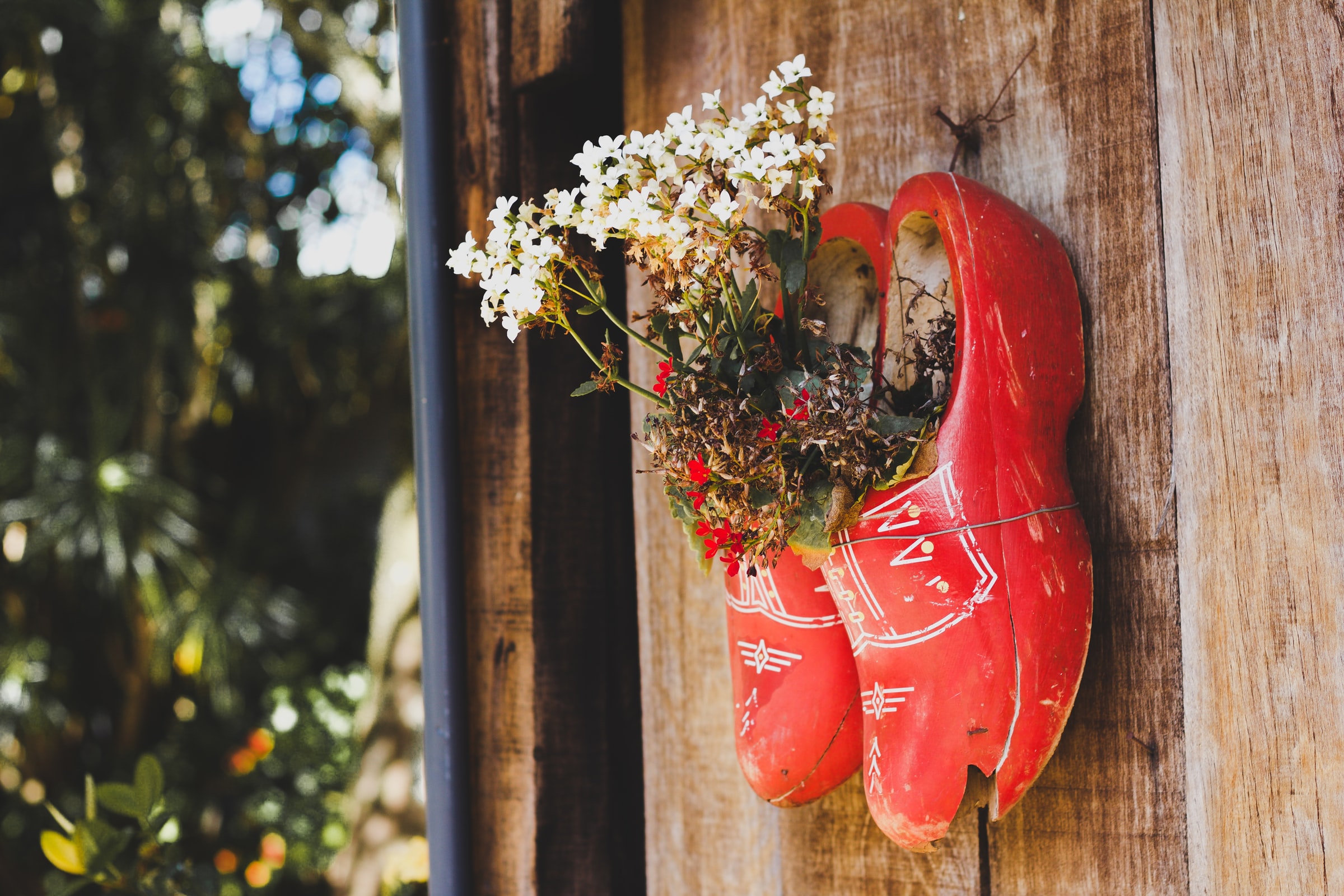 plants feel lonely , plants communication