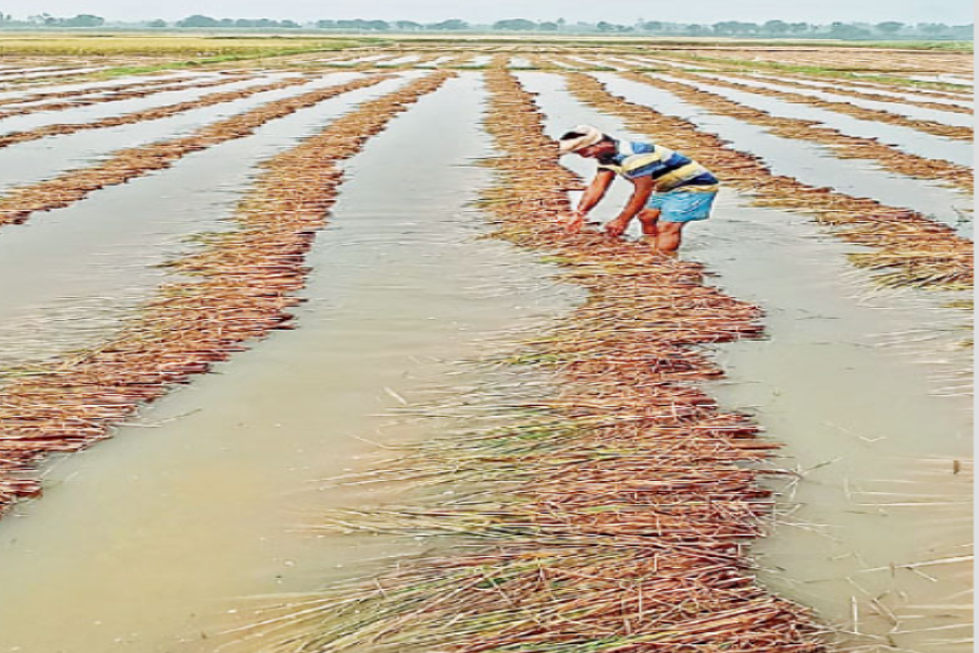 nivar toofan will be affected on nellore and rayalaseema districts