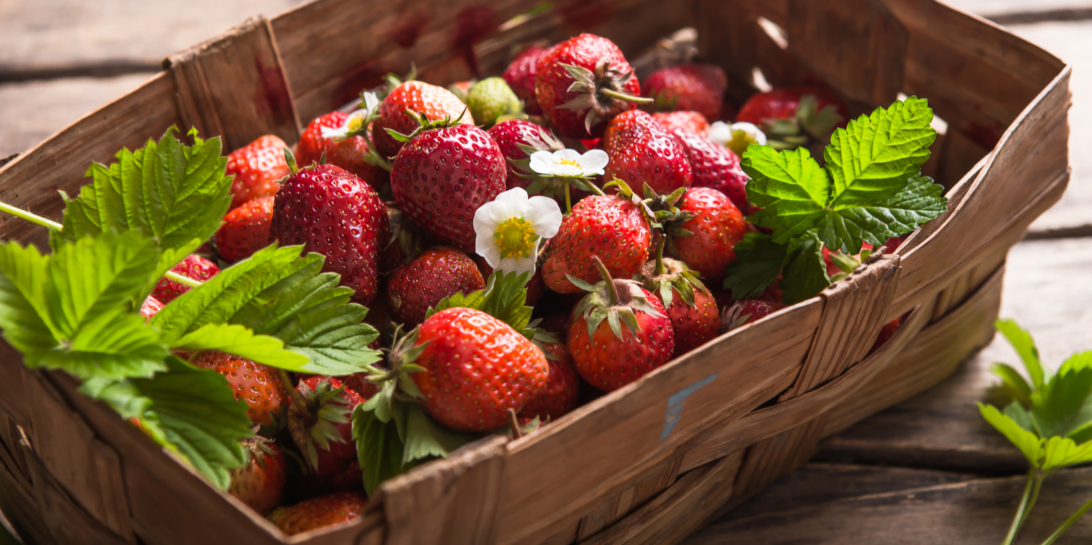 fortified crops, strawberry, Vit D