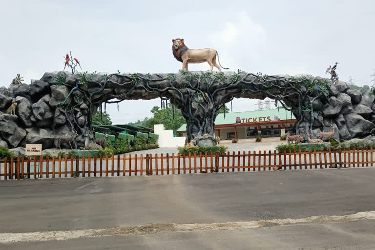 Jungle Safari (Sardar Patel Zoological Park)