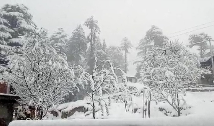 Tourists in kufri during snowfall in himachal pradesh