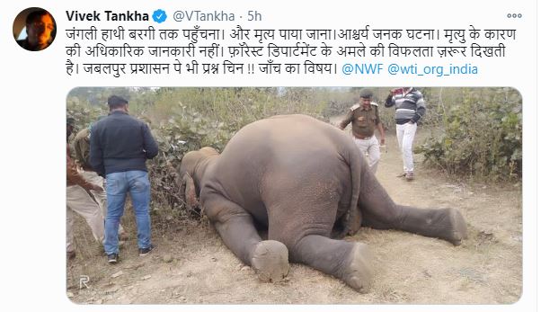 Vivek Tankha tweeted