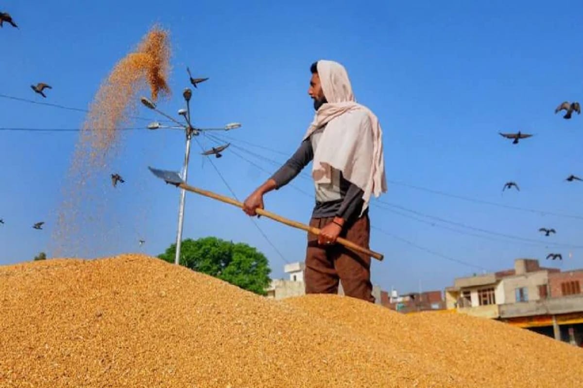 how-much-is-bastar-ready-for-paddy-purchase-from-december-1
