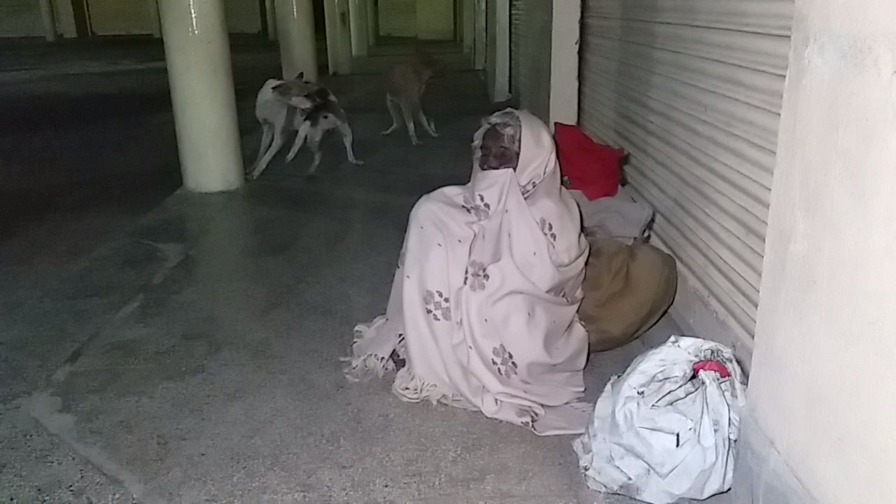 Bhilwara District Administration, shelters in Bhilwara,ETV bharat's reality check, Bhilwara news, भीलवाड़ा की खबरें