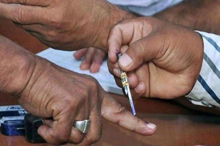 Jammu and Kashmir DDC Election