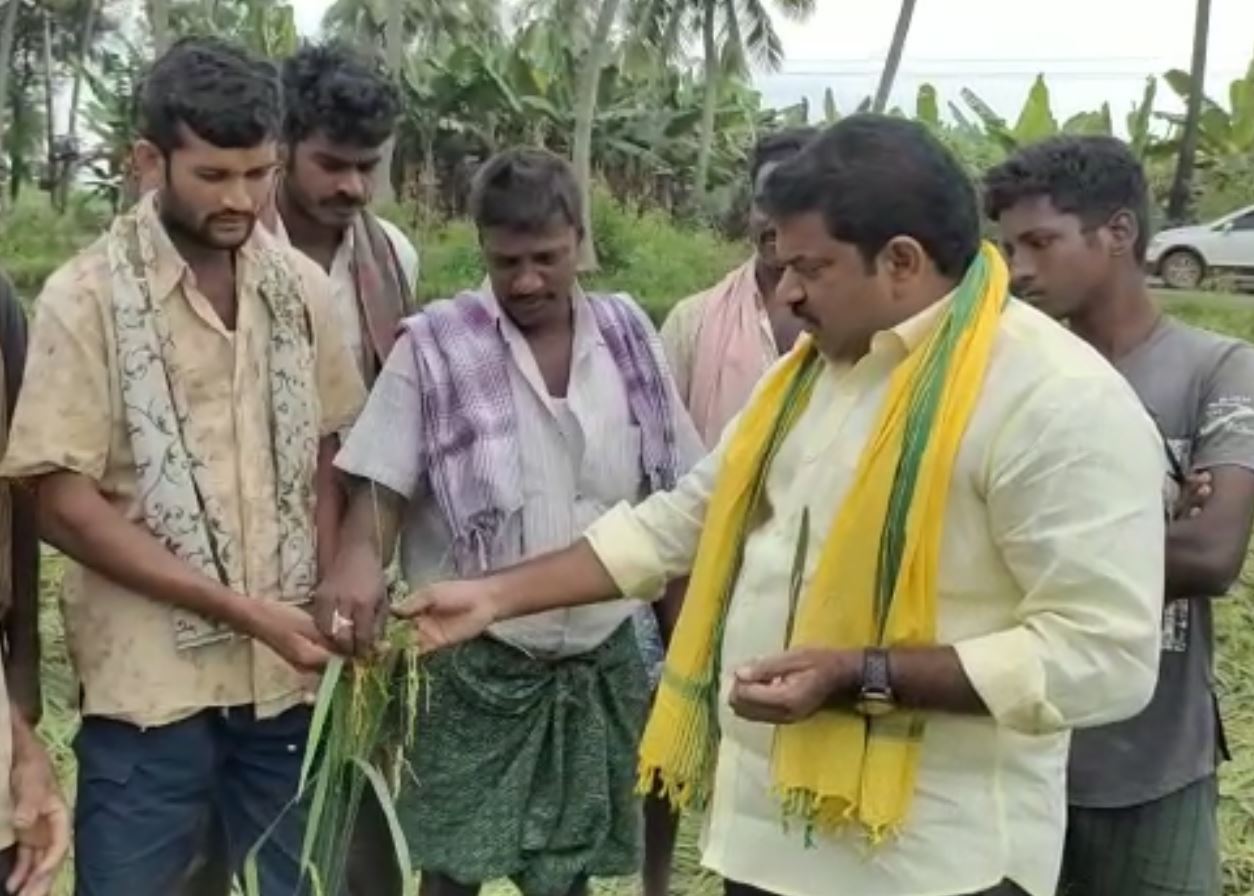 రైతులతో మాట్లాడుతున్న తెదేపా నేత వరుపుల రాజా