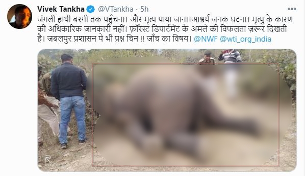 MP Vivek Tankha tweeted