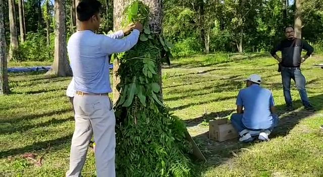 জোনাইত ৰং-তুলিকা-শব্দৰে পবাৰ বাবে এদিন