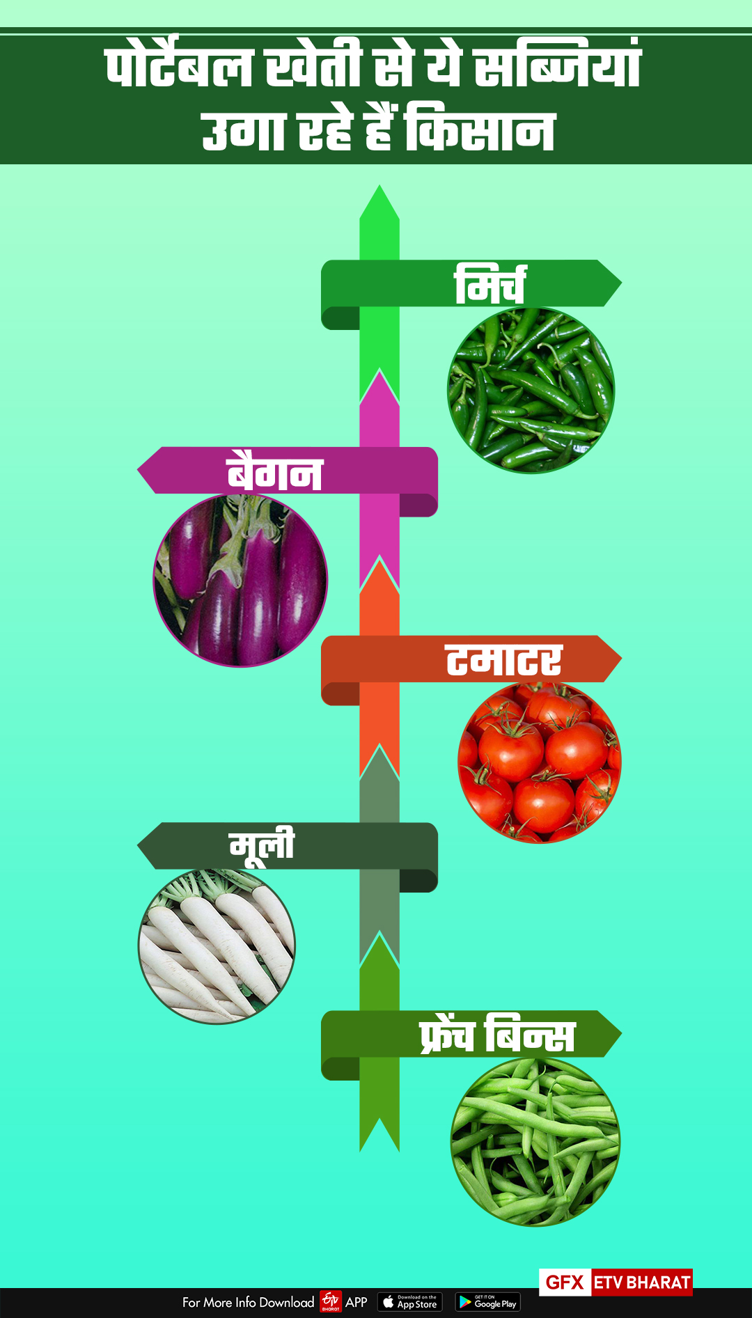 पोर्टेबल खेती से ये सब्जियां उगा रहे हैं किसान