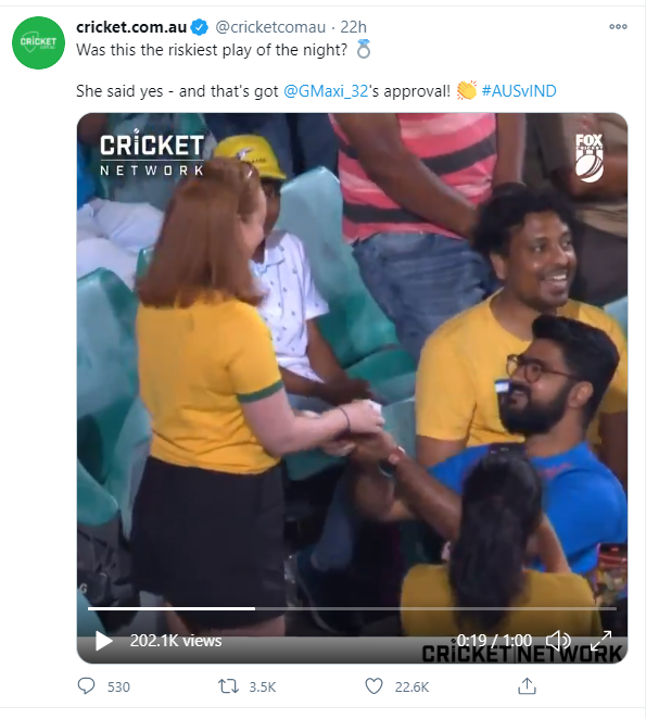 Viral Video: Indian fan proposes Aussie girl in 2nd ODI, she said, 'YES'