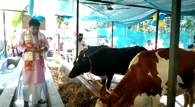 inauguration-of-milk-production-center-at-tinsukiya-by-mla-suren-phukan