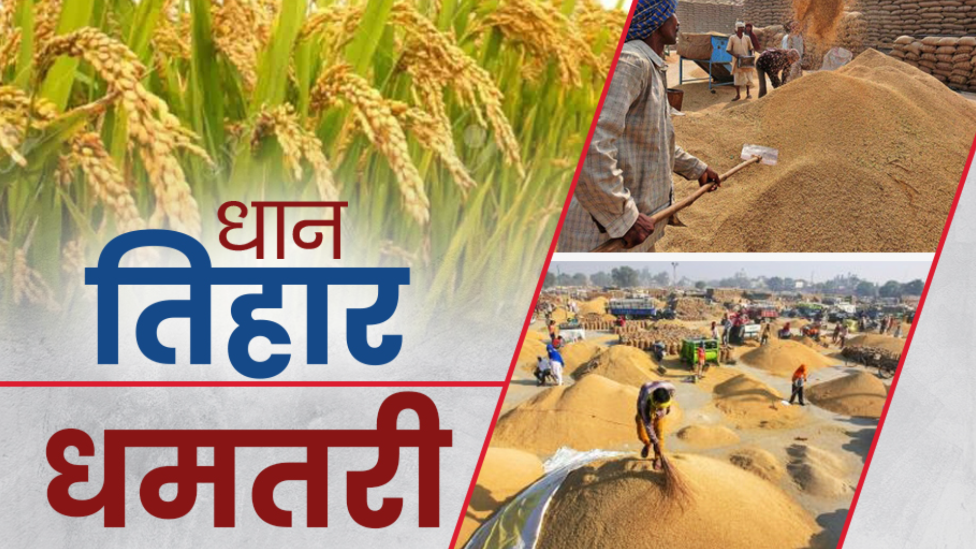 paddy-purchase-started-in-chhattisgarh